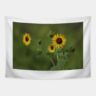 Kansas Country Wild Sunflower closeup Tapestry