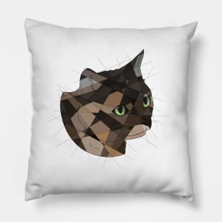 Tortie Pillow