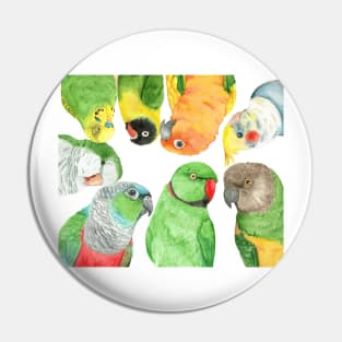 Special medium parrots watercolor painting party Pin