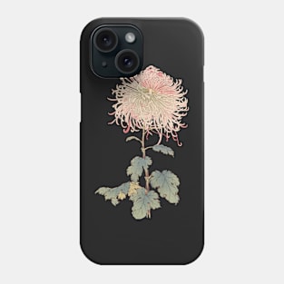 Pink Needle Chrysanthemum - Hasegawa - Traditional Japanese style - Botanical Illustration Phone Case