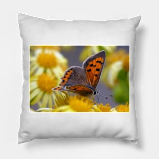 The Small Copper Pillow