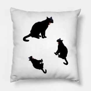 Hilarious Black cat Pillow