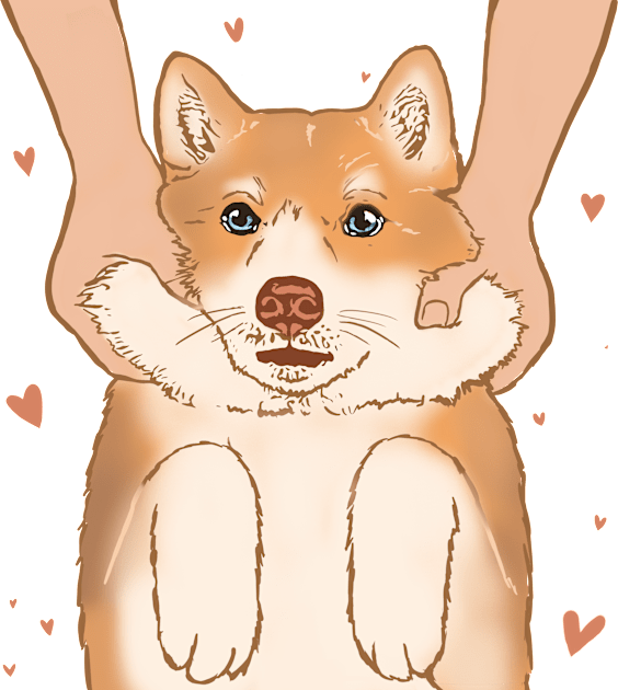 Cutie Shiba-inu Kids T-Shirt by kozinoart