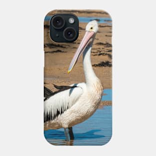 Australian Pelicans Phone Case