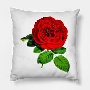 Rose Pillow