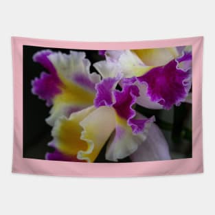 Orchid Tapestry