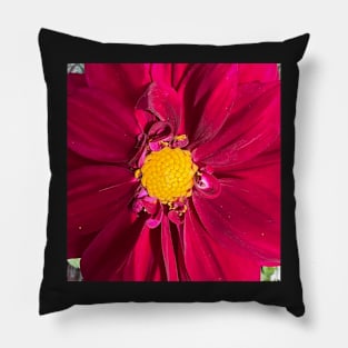 The Exhuberant Red Dahlia Pillow