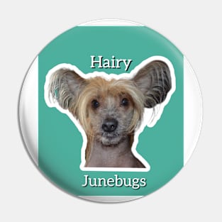 Hairy Junebugs Pin