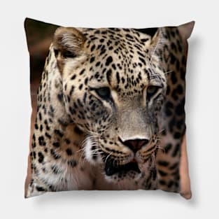 Persian Leopard Pillow