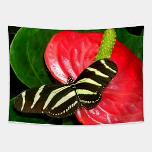 Colorful Butterfly on a Red Flower Photography Tapestry