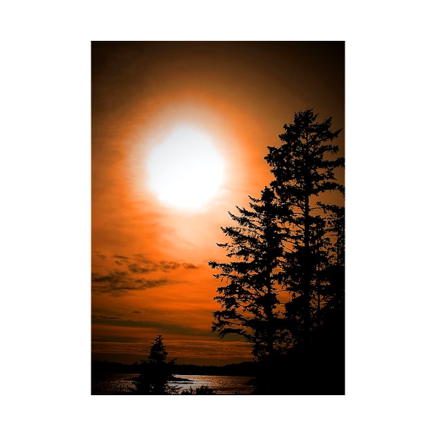 Sunset Long Beach Tofino Vancouver Island Canada by AndyEvansPhotos