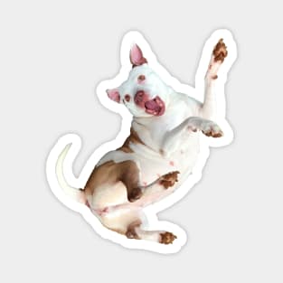 Happy Pitbull sticker Magnet