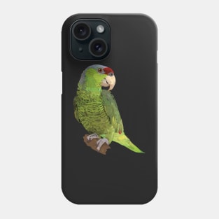 Amazona finschi Phone Case