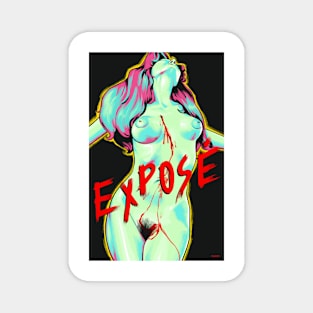 Exposé / House on Straw Hill / Trauma 1976 Movie Art Magnet