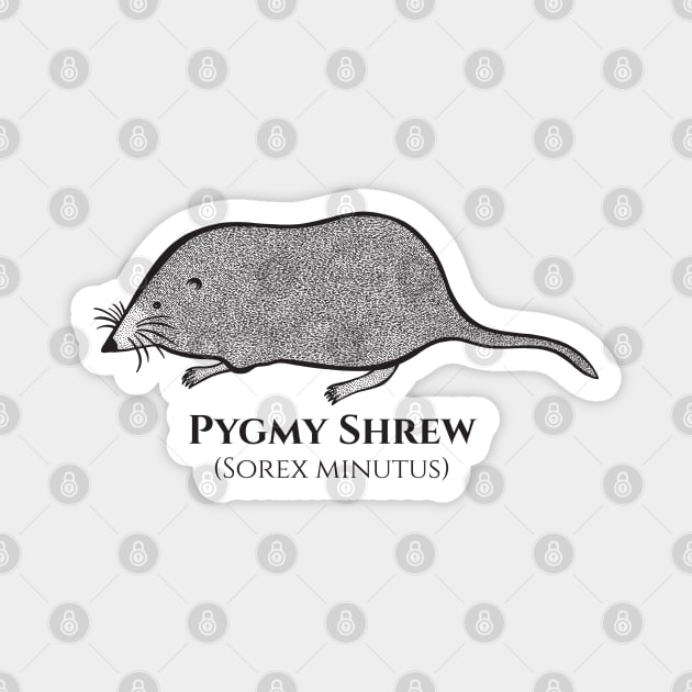 Pygmy Shrew with Common and Latin Names - cute animal design Magnet by Green Paladin