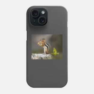 Golden-Mantled Ground Squirrel Phone Case