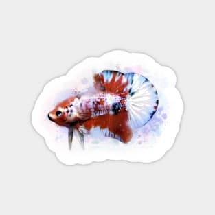 Candy koi betta fish Magnet