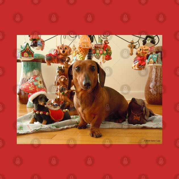 Christmas Dachshund (Version 1) by DebiCady