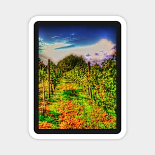 autumn vineyard Magnet