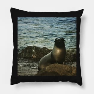 Baby Seal Cape Bridgewater Pillow