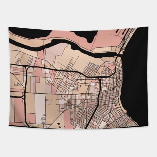 Corpus Christi Map Pattern in Soft Pink Pastels Tapestry