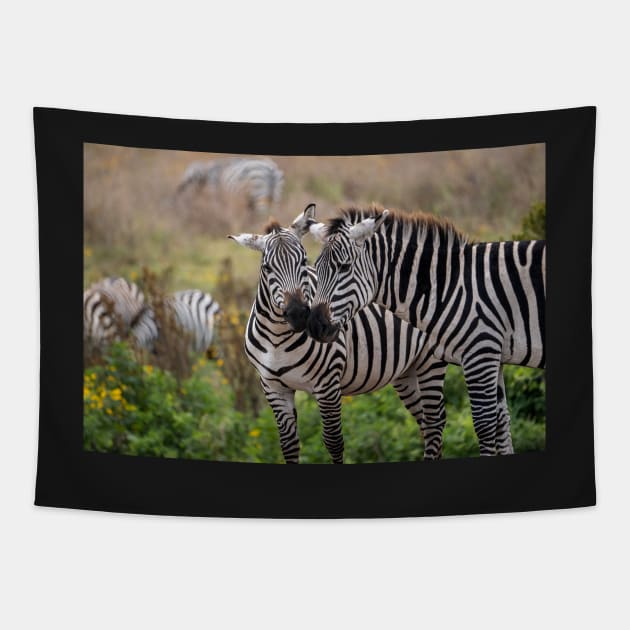 Zebra Affection: Ngorongoro Crater, Tanzania Tapestry by AndrewGoodall