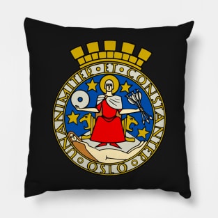 Oslo Flag Decal Pillow