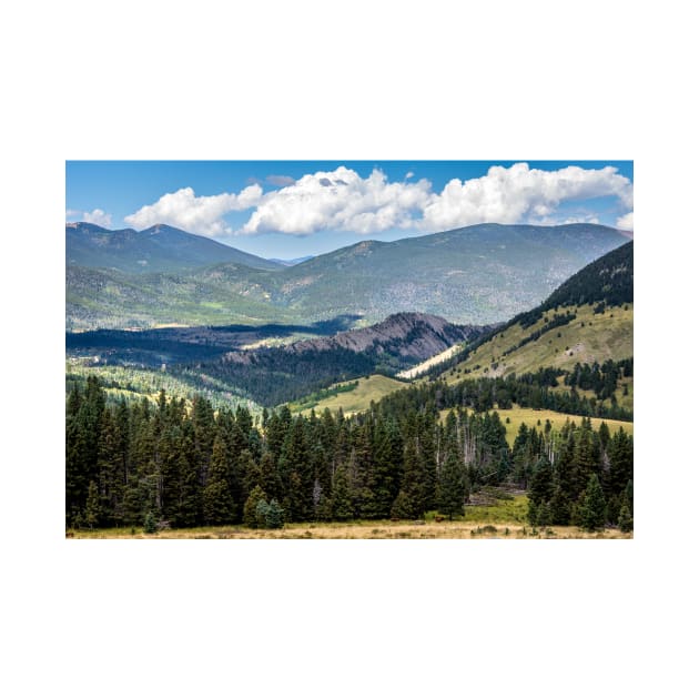 Mountains Forest And Volcanic Dike Colorado by Debra Martz