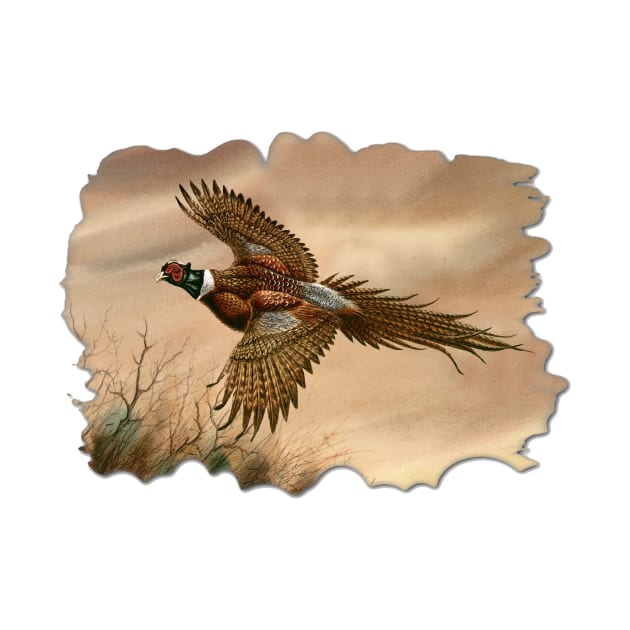 Pheasant by Dave Bartholet Wildlife Art