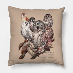 Owls of the Northeast Pillow