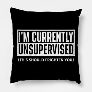 I Am Currently Unsupervised Funny Pillow