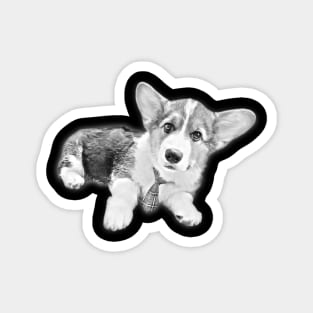 Pembroke Welsh Corgi Sleep Sketch Magnet