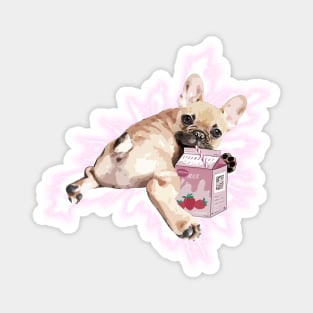 French bulldog with strawberry smoothie, French bulldog lovers Magnet