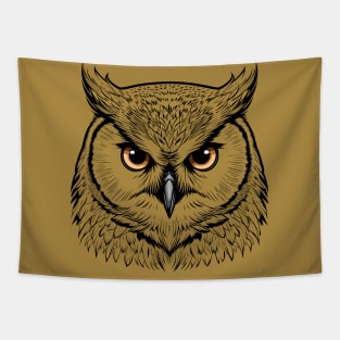 Enchanting Owl Face Texture Tapestry