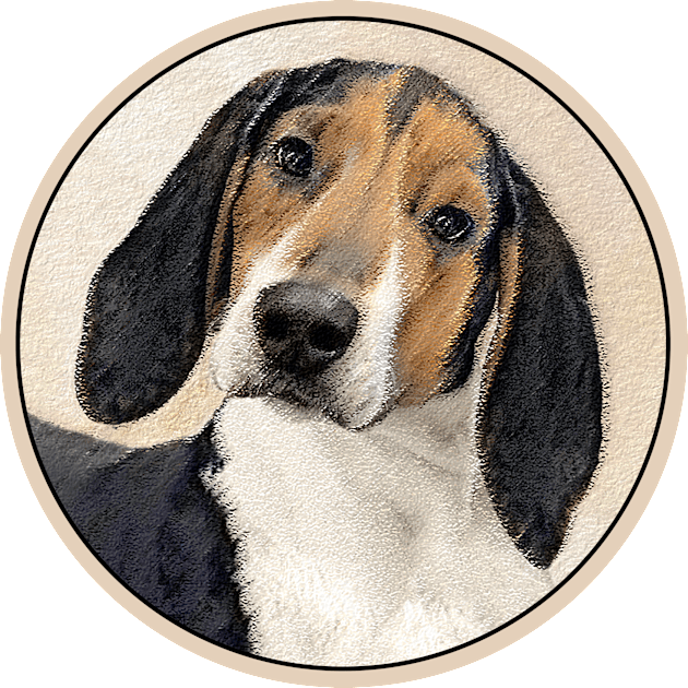 Treeing Walker Coonhound Painting - Original Art Kids T-Shirt by Alpen Designs