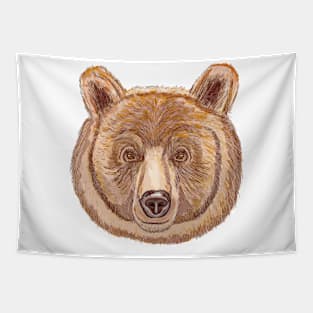 Brown Bear Stare Tapestry