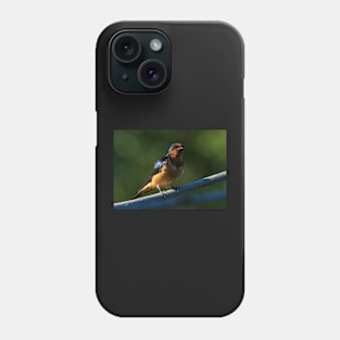 Barn Swallow on a Branch Phone Case