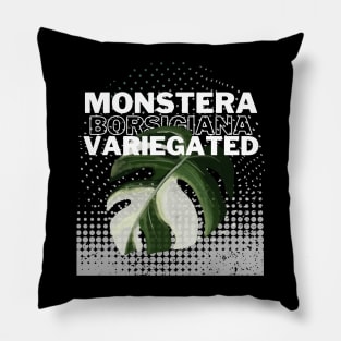 Monstera Borsigiana Variegated Pillow