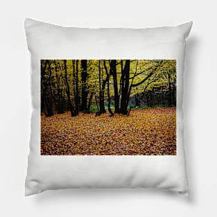 ‘Dark Wood’ - Autumn arrives, leaves fall Pillow