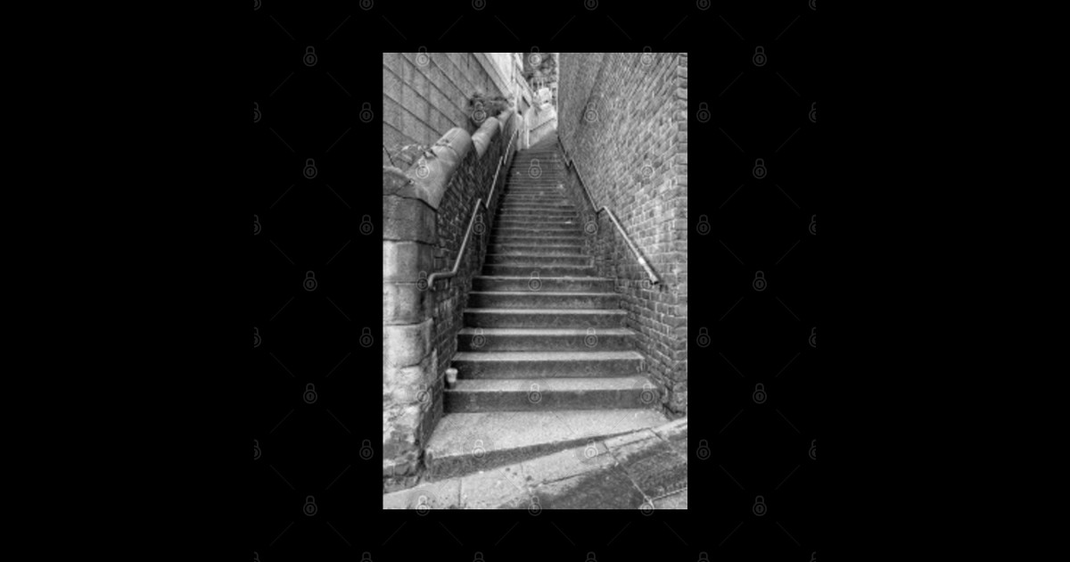 Dog Leap Stairs, Newcastle upon Tyne Architecture TShirt TeePublic