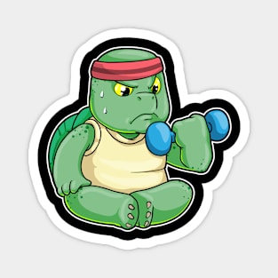 Turtle at Biceps Exercises with Dumbbell Magnet