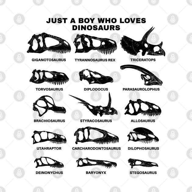 Types of Dinosaurs Just a boy who loves dinosaurs by NicGrayTees