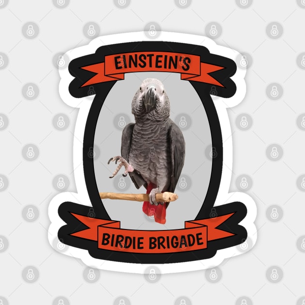 Birdie Brigade African Grey Parrot Magnet by Einstein Parrot