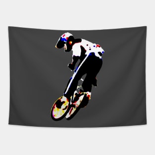 bmx Tapestry