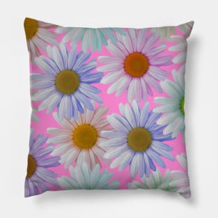 colorful daisy flowers, daisies, blossoms Pillow