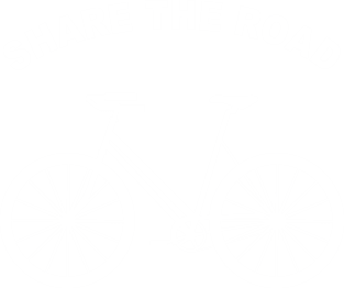 Share The Road Magnet