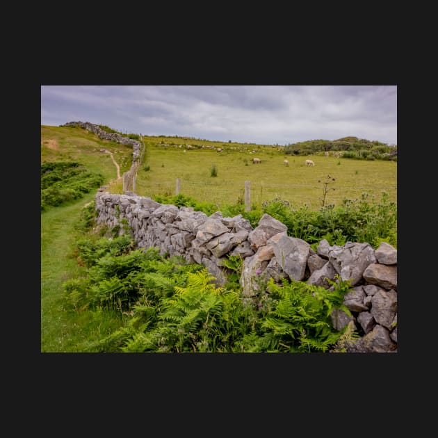 A view from the Welsh Coastal path by yackers1