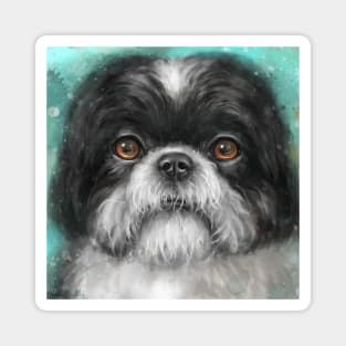 Painting of a Black and White Shih Tzu Dog with Honey Eyes Magnet