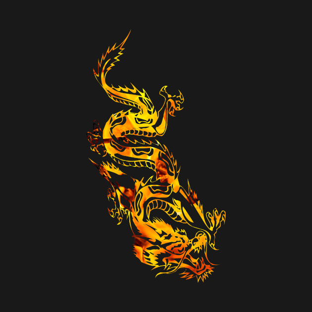 Beautiful Fire Dragon by funfun