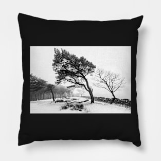 Shaped by the winds Pillow